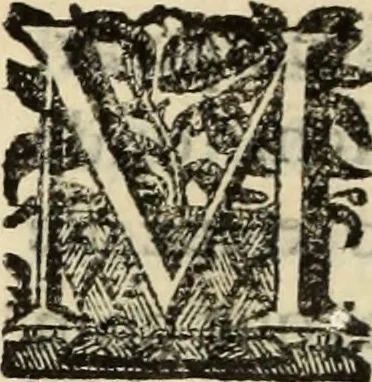 An illustration from Cronicas delrey d Ioam de gloriosa memoria o I. deste nome, e dos reys de Portugal o X. e as dos reys D. Duarte, e D. Affonso o V. ... : tiradas a luz por ordem do il.mo, e r.mo senhor Dom Rodrigo da Cunha. arcebispo de Lisboa ... e Autos do levantamento, e iuromentos delrey n.s. D. Ioam o IV, 1643, leaf 373