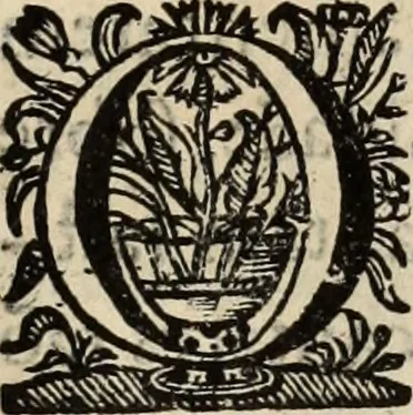 An illustration from Cronicas delrey d Ioam de gloriosa memoria o I. deste nome, e dos reys de Portugal o X. e as dos reys D. Duarte, e D. Affonso o V. ... : tiradas a luz por ordem do il.mo, e r.mo senhor Dom Rodrigo da Cunha. arcebispo de Lisboa ... e Autos do levantamento, e iuromentos delrey n.s. D. Ioam o IV, 1643, leaf 376