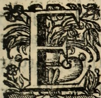 An illustration from Cronicas delrey d Ioam de gloriosa memoria o I. deste nome, e dos reys de Portugal o X. e as dos reys D. Duarte, e D. Affonso o V. ... : tiradas a luz por ordem do il.mo, e r.mo senhor Dom Rodrigo da Cunha. arcebispo de Lisboa ... e Autos do levantamento, e iuromentos delrey n.s. D. Ioam o IV, 1643, leaf 40