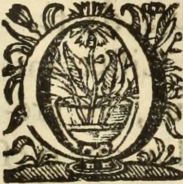 An illustration from Cronicas delrey d Ioam de gloriosa memoria o I. deste nome, e dos reys de Portugal o X. e as dos reys D. Duarte, e D. Affonso o V. ... : tiradas a luz por ordem do il.mo, e r.mo senhor Dom Rodrigo da Cunha. arcebispo de Lisboa ... e Autos do levantamento, e iuromentos delrey n.s. D. Ioam o IV, 1643, leaf 415