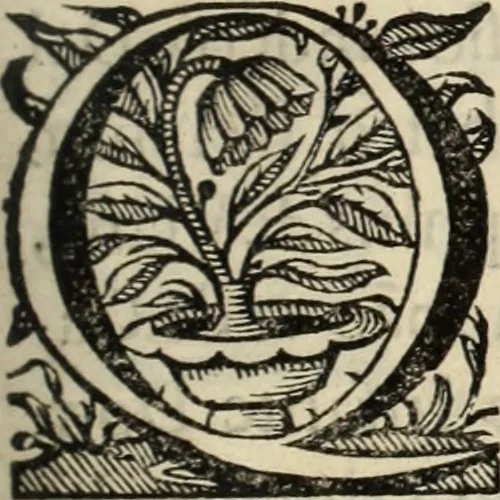 An illustration from Cronicas delrey d Ioam de gloriosa memoria o I. deste nome, e dos reys de Portugal o X. e as dos reys D. Duarte, e D. Affonso o V. ... : tiradas a luz por ordem do il.mo, e r.mo senhor Dom Rodrigo da Cunha. arcebispo de Lisboa ... e Autos do levantamento, e iuromentos delrey n.s. D. Ioam o IV, 1643, leaf 424