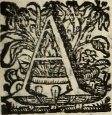 An illustration from Cronicas delrey d Ioam de gloriosa memoria o I. deste nome, e dos reys de Portugal o X. e as dos reys D. Duarte, e D. Affonso o V. ... : tiradas a luz por ordem do il.mo, e r.mo senhor Dom Rodrigo da Cunha. arcebispo de Lisboa ... e Autos do levantamento, e iuromentos delrey n.s. D. Ioam o IV, 1643, leaf 458