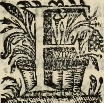 An illustration from Cronicas delrey d Ioam de gloriosa memoria o I. deste nome, e dos reys de Portugal o X. e as dos reys D. Duarte, e D. Affonso o V. ... : tiradas a luz por ordem do il.mo, e r.mo senhor Dom Rodrigo da Cunha. arcebispo de Lisboa ... e Autos do levantamento, e iuromentos delrey n.s. D. Ioam o IV, 1643, leaf 482