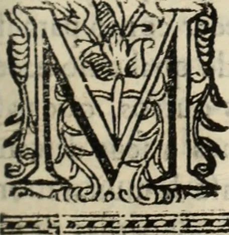 An illustration from Cronicas delrey d Ioam de gloriosa memoria o I. deste nome, e dos reys de Portugal o X. e as dos reys D. Duarte, e D. Affonso o V. ... : tiradas a luz por ordem do il.mo, e r.mo senhor Dom Rodrigo da Cunha. arcebispo de Lisboa ... e Autos do levantamento, e iuromentos delrey n.s. D. Ioam o IV, 1643, leaf 490
