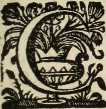 An illustration from Cronicas delrey d Ioam de gloriosa memoria o I. deste nome, e dos reys de Portugal o X. e as dos reys D. Duarte, e D. Affonso o V. ... : tiradas a luz por ordem do il.mo, e r.mo senhor Dom Rodrigo da Cunha. arcebispo de Lisboa ... e Autos do levantamento, e iuromentos delrey n.s. D. Ioam o IV, 1643, leaf 494