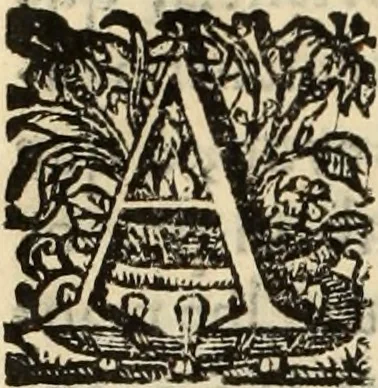 An illustration from Cronicas delrey d Ioam de gloriosa memoria o I. deste nome, e dos reys de Portugal o X. e as dos reys D. Duarte, e D. Affonso o V. ... : tiradas a luz por ordem do il.mo, e r.mo senhor Dom Rodrigo da Cunha. arcebispo de Lisboa ... e Autos do levantamento, e iuromentos delrey n.s. D. Ioam o IV, 1643, leaf 499