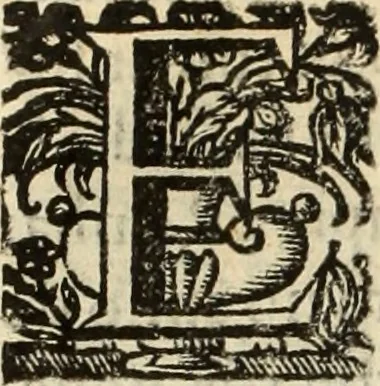 An illustration from Cronicas delrey d Ioam de gloriosa memoria o I. deste nome, e dos reys de Portugal o X. e as dos reys D. Duarte, e D. Affonso o V. ... : tiradas a luz por ordem do il.mo, e r.mo senhor Dom Rodrigo da Cunha. arcebispo de Lisboa ... e Autos do levantamento, e iuromentos delrey n.s. D. Ioam o IV, 1643, leaf 501