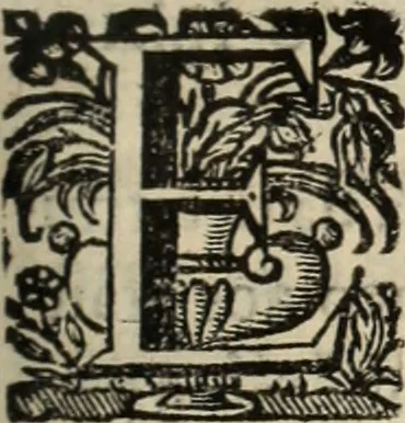 An illustration from Cronicas delrey d Ioam de gloriosa memoria o I. deste nome, e dos reys de Portugal o X. e as dos reys D. Duarte, e D. Affonso o V. ... : tiradas a luz por ordem do il.mo, e r.mo senhor Dom Rodrigo da Cunha. arcebispo de Lisboa ... e Autos do levantamento, e iuromentos delrey n.s. D. Ioam o IV, 1643, leaf 508