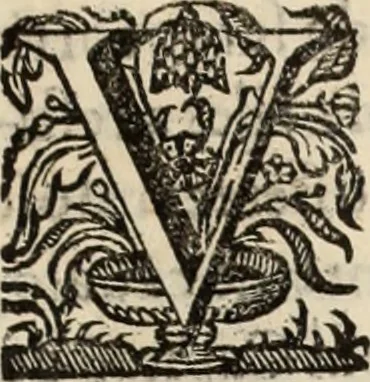 An illustration from Cronicas delrey d Ioam de gloriosa memoria o I. deste nome, e dos reys de Portugal o X. e as dos reys D. Duarte, e D. Affonso o V. ... : tiradas a luz por ordem do il.mo, e r.mo senhor Dom Rodrigo da Cunha. arcebispo de Lisboa ... e Autos do levantamento, e iuromentos delrey n.s. D. Ioam o IV, 1643, leaf 520