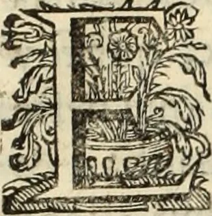 An illustration from Cronicas delrey d Ioam de gloriosa memoria o I. deste nome, e dos reys de Portugal o X. e as dos reys D. Duarte, e D. Affonso o V. ... : tiradas a luz por ordem do il.mo, e r.mo senhor Dom Rodrigo da Cunha. arcebispo de Lisboa ... e Autos do levantamento, e iuromentos delrey n.s. D. Ioam o IV, 1643, leaf 527
