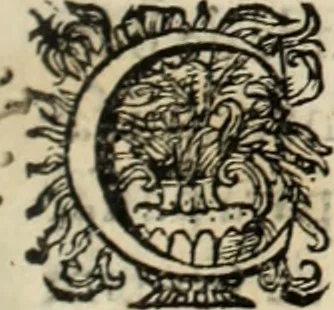 An illustration from Cronicas delrey d Ioam de gloriosa memoria o I. deste nome, e dos reys de Portugal o X. e as dos reys D. Duarte, e D. Affonso o V. ... : tiradas a luz por ordem do il.mo, e r.mo senhor Dom Rodrigo da Cunha. arcebispo de Lisboa ... e Autos do levantamento, e iuromentos delrey n.s. D. Ioam o IV, 1643, leaf 530