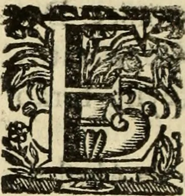An illustration from Cronicas delrey d Ioam de gloriosa memoria o I. deste nome, e dos reys de Portugal o X. e as dos reys D. Duarte, e D. Affonso o V. ... : tiradas a luz por ordem do il.mo, e r.mo senhor Dom Rodrigo da Cunha. arcebispo de Lisboa ... e Autos do levantamento, e iuromentos delrey n.s. D. Ioam o IV, 1643, leaf 555