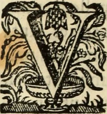 An illustration from Cronicas delrey d Ioam de gloriosa memoria o I. deste nome, e dos reys de Portugal o X. e as dos reys D. Duarte, e D. Affonso o V. ... : tiradas a luz por ordem do il.mo, e r.mo senhor Dom Rodrigo da Cunha. arcebispo de Lisboa ... e Autos do levantamento, e iuromentos delrey n.s. D. Ioam o IV, 1643, leaf 563