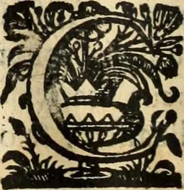 An illustration from Cronicas delrey d Ioam de gloriosa memoria o I. deste nome, e dos reys de Portugal o X. e as dos reys D. Duarte, e D. Affonso o V. ... : tiradas a luz por ordem do il.mo, e r.mo senhor Dom Rodrigo da Cunha. arcebispo de Lisboa ... e Autos do levantamento, e iuromentos delrey n.s. D. Ioam o IV, 1643, leaf 567