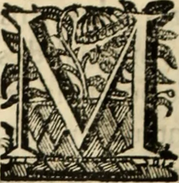 An illustration from Cronicas delrey d Ioam de gloriosa memoria o I. deste nome, e dos reys de Portugal o X. e as dos reys D. Duarte, e D. Affonso o V. ... : tiradas a luz por ordem do il.mo, e r.mo senhor Dom Rodrigo da Cunha. arcebispo de Lisboa ... e Autos do levantamento, e iuromentos delrey n.s. D. Ioam o IV, 1643, leaf 581