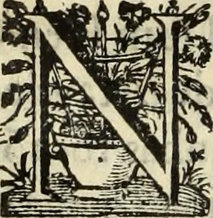 An illustration from Cronicas delrey d Ioam de gloriosa memoria o I. deste nome, e dos reys de Portugal o X. e as dos reys D. Duarte, e D. Affonso o V. ... : tiradas a luz por ordem do il.mo, e r.mo senhor Dom Rodrigo da Cunha. arcebispo de Lisboa ... e Autos do levantamento, e iuromentos delrey n.s. D. Ioam o IV, 1643, leaf 583