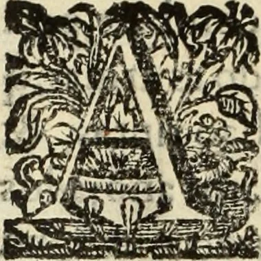 An illustration from Cronicas delrey d Ioam de gloriosa memoria o I. deste nome, e dos reys de Portugal o X. e as dos reys D. Duarte, e D. Affonso o V. ... : tiradas a luz por ordem do il.mo, e r.mo senhor Dom Rodrigo da Cunha. arcebispo de Lisboa ... e Autos do levantamento, e iuromentos delrey n.s. D. Ioam o IV, 1643, leaf 597