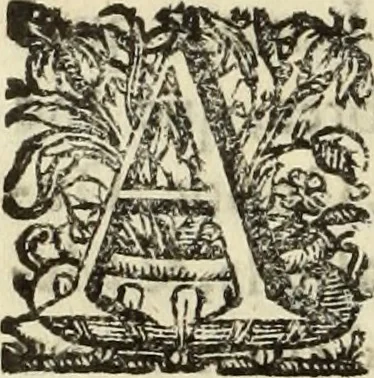 An illustration from Cronicas delrey d Ioam de gloriosa memoria o I. deste nome, e dos reys de Portugal o X. e as dos reys D. Duarte, e D. Affonso o V. ... : tiradas a luz por ordem do il.mo, e r.mo senhor Dom Rodrigo da Cunha. arcebispo de Lisboa ... e Autos do levantamento, e iuromentos delrey n.s. D. Ioam o IV, 1643, leaf 619