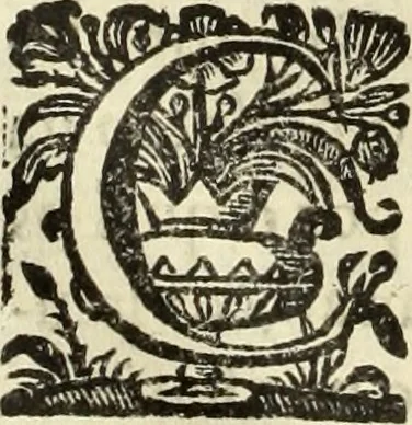 An illustration from Cronicas delrey d Ioam de gloriosa memoria o I. deste nome, e dos reys de Portugal o X. e as dos reys D. Duarte, e D. Affonso o V. ... : tiradas a luz por ordem do il.mo, e r.mo senhor Dom Rodrigo da Cunha. arcebispo de Lisboa ... e Autos do levantamento, e iuromentos delrey n.s. D. Ioam o IV, 1643, leaf 685