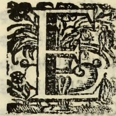 An illustration from Cronicas delrey d Ioam de gloriosa memoria o I. deste nome, e dos reys de Portugal o X. e as dos reys D. Duarte, e D. Affonso o V. ... : tiradas a luz por ordem do il.mo, e r.mo senhor Dom Rodrigo da Cunha. arcebispo de Lisboa ... e Autos do levantamento, e iuromentos delrey n.s. D. Ioam o IV, 1643, leaf 691