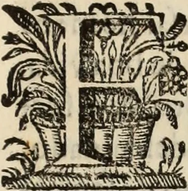 An illustration from Cronicas delrey d Ioam de gloriosa memoria o I. deste nome, e dos reys de Portugal o X. e as dos reys D. Duarte, e D. Affonso o V. ... : tiradas a luz por ordem do il.mo, e r.mo senhor Dom Rodrigo da Cunha. arcebispo de Lisboa ... e Autos do levantamento, e iuromentos delrey n.s. D. Ioam o IV, 1643, leaf 738
