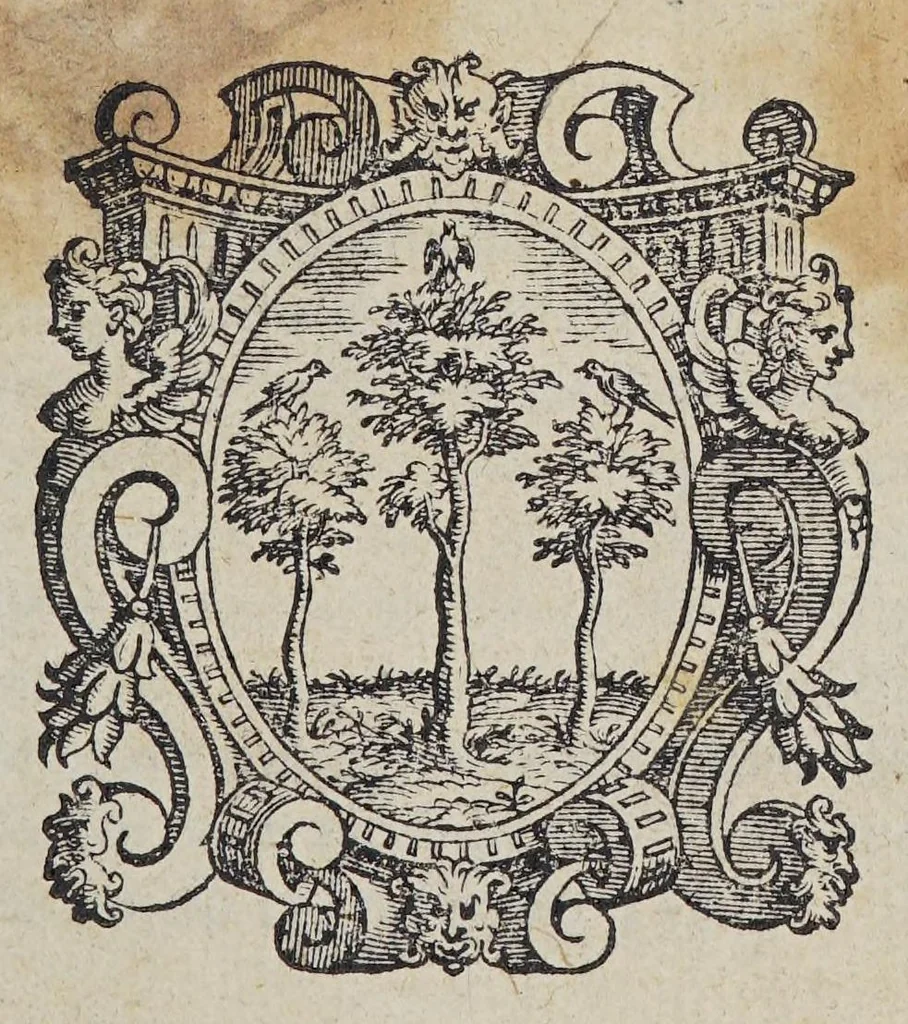 An illustration from Croniche de gli ordini instituiti dal padre S. Francesco; : che contengono la sua uita, la sua morte, i suoi miracoli, e di tutti i suoi santi discepoli, & compagni;, 1585, leaf 5