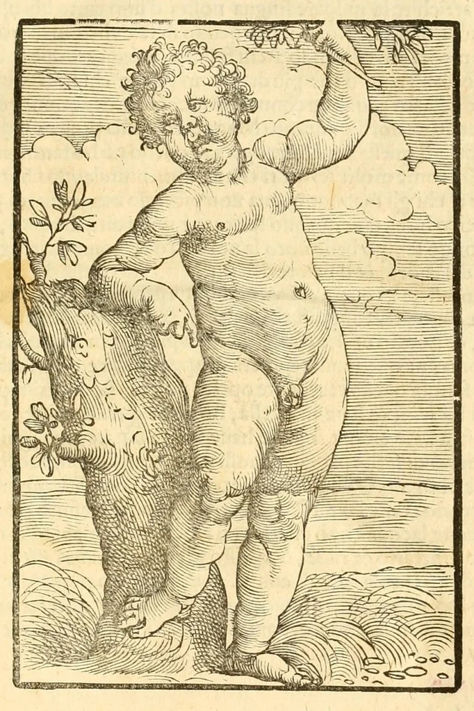 An illustration from Croniche di Messer Giovanni Villani cittadino fiorentino : nelle quali si tratta dell'origine di Firenze, & di tutti e fatti & guerre state fatte da Fiorentini nella Italia .., 1537, leaf 5