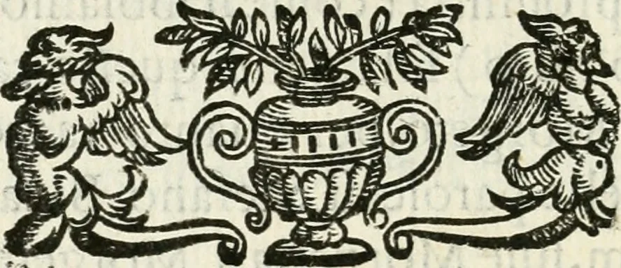 An illustration from Croniche et antichità di Calabria : conforme all'ordine de'testi greco & latino, raccolte da' più famosi scrittori antichi & moderni : oue regolatamente sono poste le città, castelli, ville, monti, fiumi, fonti & altri luoghi degni di sapersi di quella prouincia : et si dichiarano i luoghi delle minere, tesori e natiuità delle piante, per l'autorità di Timeo, Liconio e Plinio, et anco di Gabriello Barrio francicano, 1601, leaf 15