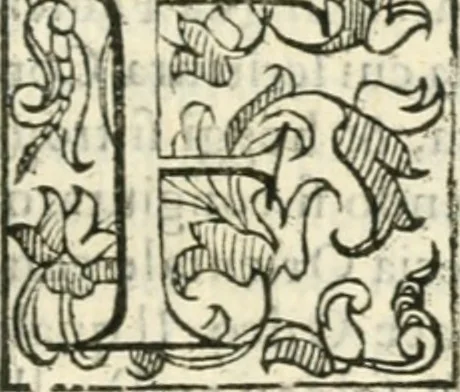 An illustration from Croniche et antichità di Calabria : conforme all'ordine de'testi greco & latino, raccolte da' più famosi scrittori antichi & moderni : oue regolatamente sono poste le città, castelli, ville, monti, fiumi, fonti & altri luoghi degni di sapersi di quella prouincia : et si dichiarano i luoghi delle minere, tesori e natiuità delle piante, per l'autorità di Timeo, Liconio e Plinio, et anco di Gabriello Barrio francicano, 1601, leaf 182