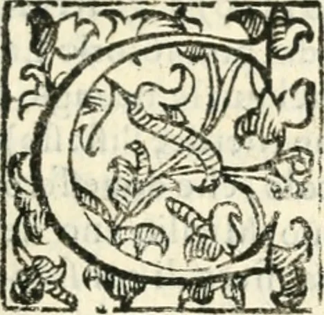 An illustration from Croniche et antichità di Calabria : conforme all'ordine de'testi greco & latino, raccolte da' più famosi scrittori antichi & moderni : oue regolatamente sono poste le città, castelli, ville, monti, fiumi, fonti & altri luoghi degni di sapersi di quella prouincia : et si dichiarano i luoghi delle minere, tesori e natiuità delle piante, per l'autorità di Timeo, Liconio e Plinio, et anco di Gabriello Barrio francicano, 1601, leaf 350