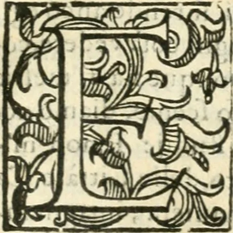 An illustration from Croniche et antichità di Calabria : conforme all'ordine de'testi greco & latino, raccolte da' più famosi scrittori antichi & moderni : oue regolatamente sono poste le città, castelli, ville, monti, fiumi, fonti & altri luoghi degni di sapersi di quella prouincia : et si dichiarano i luoghi delle minere, tesori e natiuità delle piante, per l'autorità di Timeo, Liconio e Plinio, et anco di Gabriello Barrio francicano, 1601, leaf 44