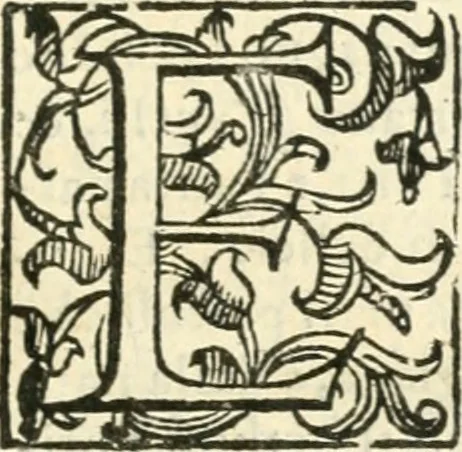 An illustration from Croniche et antichità di Calabria : conforme all'ordine de'testi greco & latino, raccolte da' più famosi scrittori antichi & moderni : oue regolatamente sono poste le città, castelli, ville, monti, fiumi, fonti & altri luoghi degni di sapersi di quella prouincia : et si dichiarano i luoghi delle minere, tesori e natiuità delle piante, per l'autorità di Timeo, Liconio e Plinio, et anco di Gabriello Barrio francicano, 1601, leaf 628