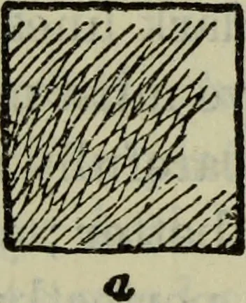 An illustration from The crown of wild olive ; also, Munera pulveris ; Pre-Raphaelitism ; Aratra Pentelici ; The ethics of the dust ; Fiction, fair and foul ; The elements of drawing, 1800, leaf 752