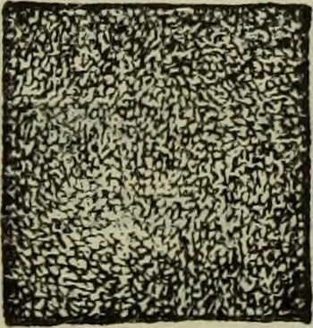 An illustration from The crown of wild olive ; also, Munera pulveris ; Pre-Raphaelitism ; Aratra Pentelici ; The ethics of the dust ; Fiction, fair and foul ; The elements of drawing, 1800, leaf 752