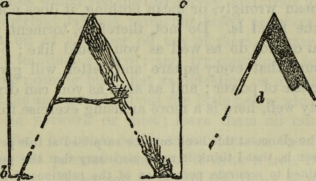 An illustration from The crown of wild olive ; also, Munera pulveris ; Pre-Raphaelitism ; Aratra Pentelici ; The ethics of the dust ; Fiction, fair and foul ; The elements of drawing, 1800, leaf 760