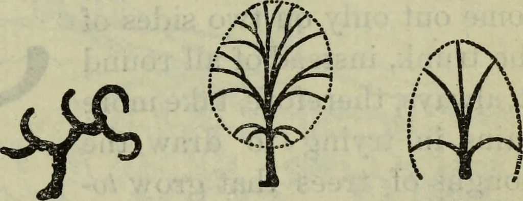 An illustration from The crown of wild olive ; also, Munera pulveris ; Pre-Raphaelitism ; Aratra Pentelici ; The ethics of the dust ; Fiction, fair and foul ; The elements of drawing, 1800, leaf 810