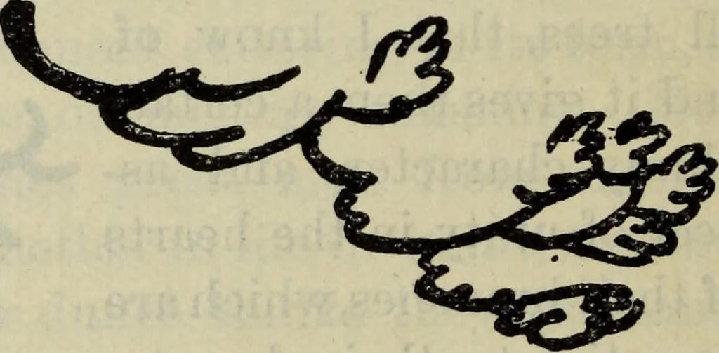 An illustration from The crown of wild olive ; also, Munera pulveris ; Pre-Raphaelitism ; Aratra Pentelici ; The ethics of the dust ; Fiction, fair and foul ; The elements of drawing, 1800, leaf 811