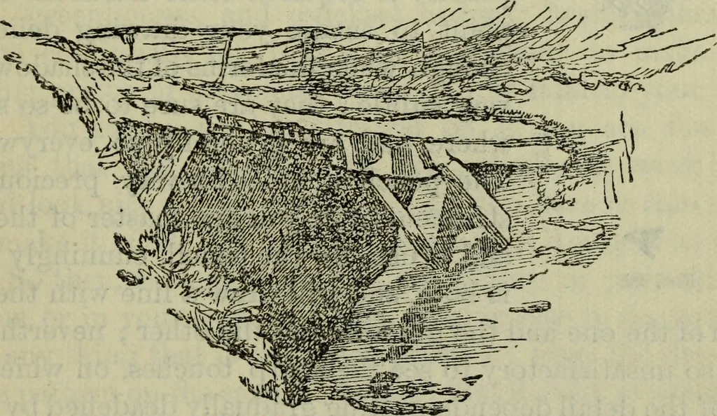 An illustration from The crown of wild olive ; also, Munera pulveris ; Pre-Raphaelitism ; Aratra Pentelici ; The ethics of the dust ; Fiction, fair and foul ; The elements of drawing, 1800, leaf 822