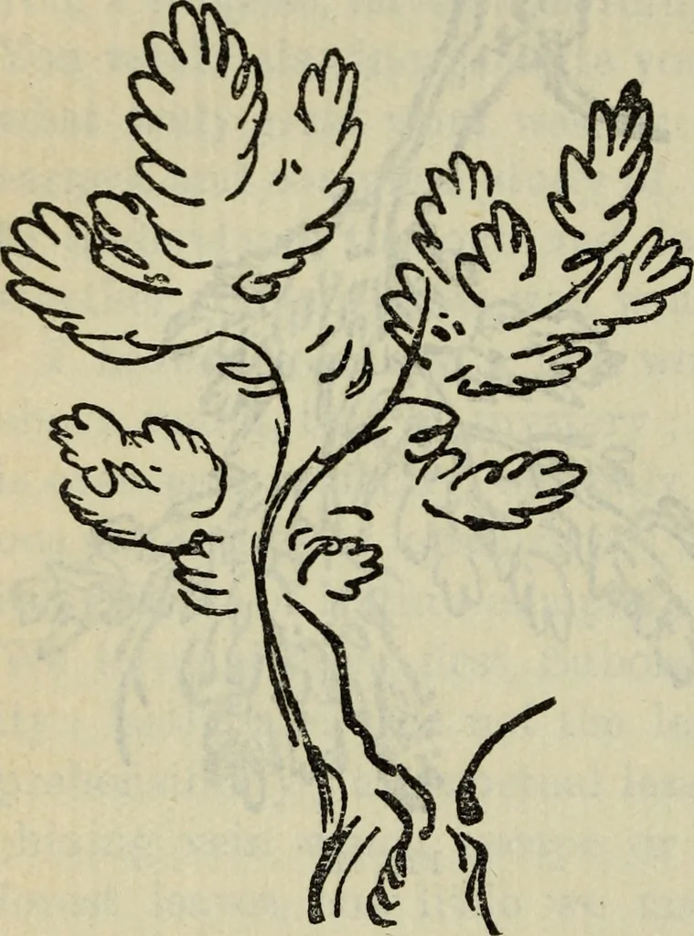 An illustration from The crown of wild olive ; also, Munera pulveris ; Pre-Raphaelitism ; Aratra Pentelici ; The ethics of the dust ; Fiction, fair and foul ; The elements of drawing, 1800, leaf 837