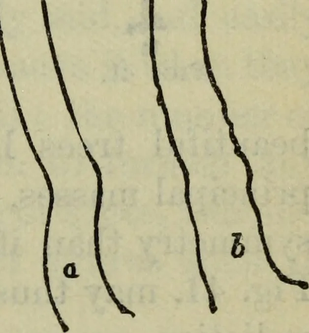 An illustration from The crown of wild olive ; also, Munera pulveris ; Pre-Raphaelitism ; Aratra Pentelici ; The ethics of the dust ; Fiction, fair and foul ; The elements of drawing, 1800, leaf 888