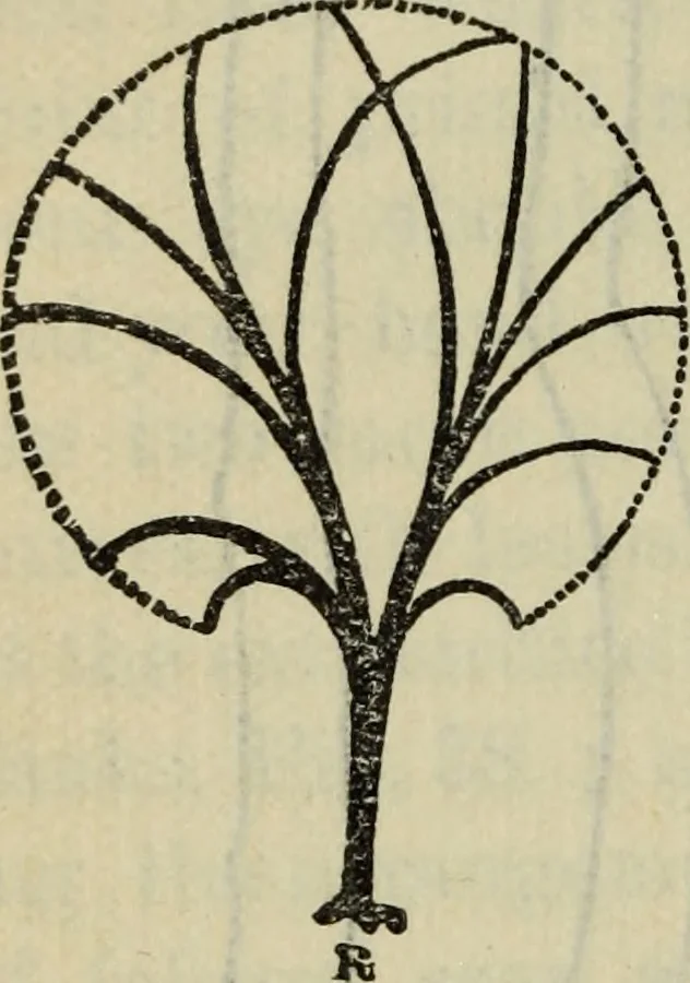 An illustration from The crown of wild olive ; also, Munera pulveris ; Pre-Raphaelitism ; Aratra Pentelici ; The ethics of the dust ; Fiction, fair and foul ; The elements of drawing, 1800, leaf 889