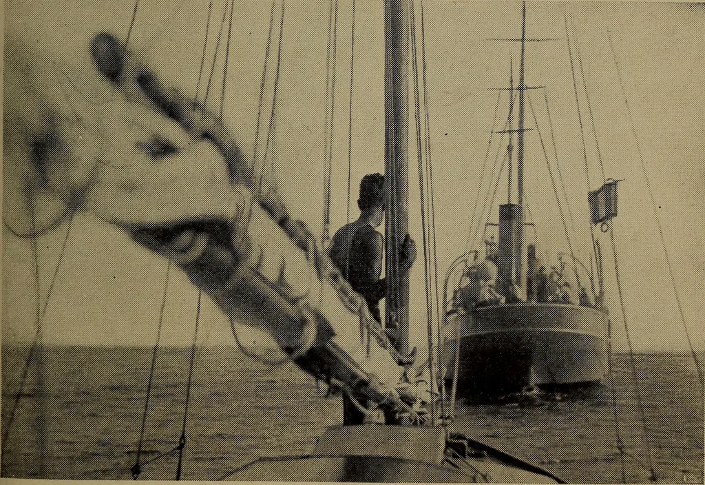An illustration from The cruise of the Hippocampus, 1922, leaf 124