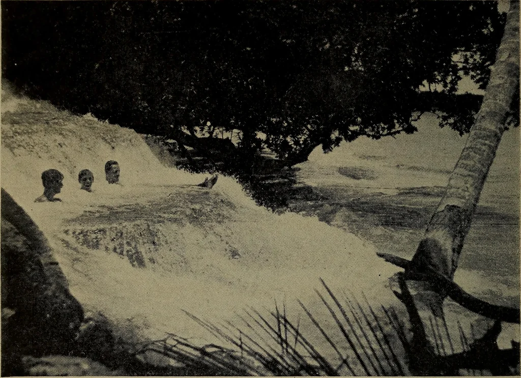 An illustration from The cruise of the Hippocampus, 1922, leaf 229