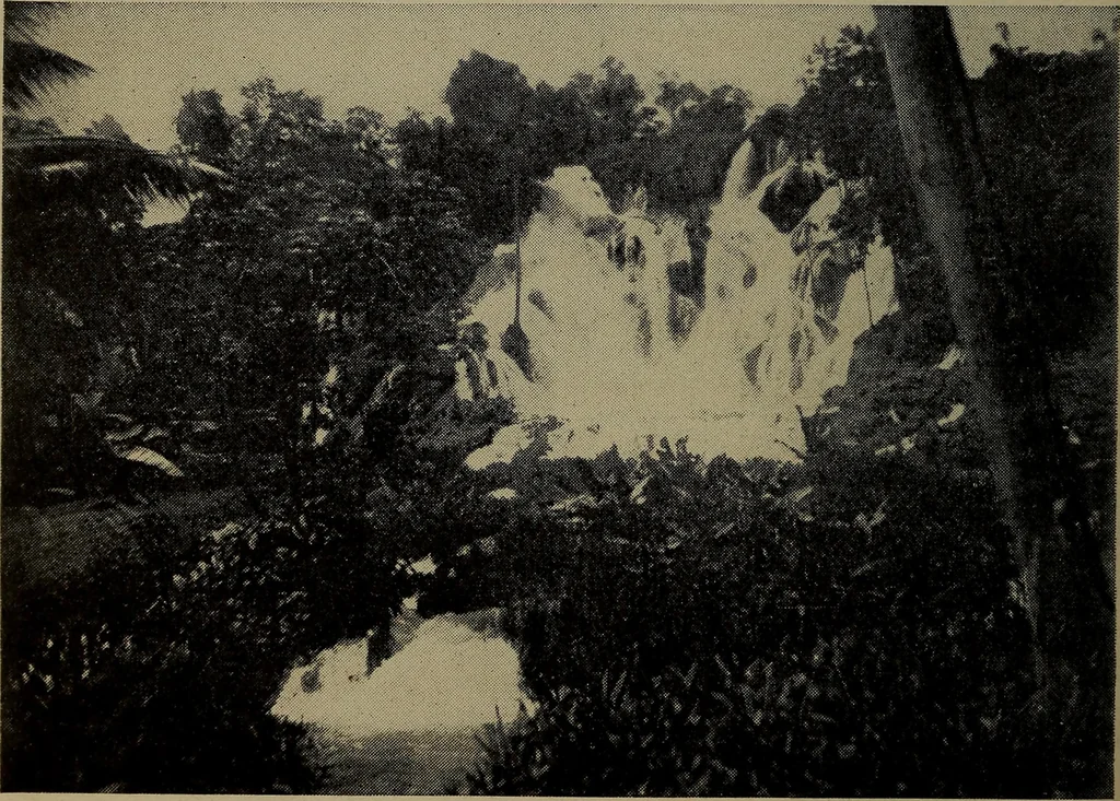 An illustration from The cruise of the Hippocampus, 1922, leaf 229