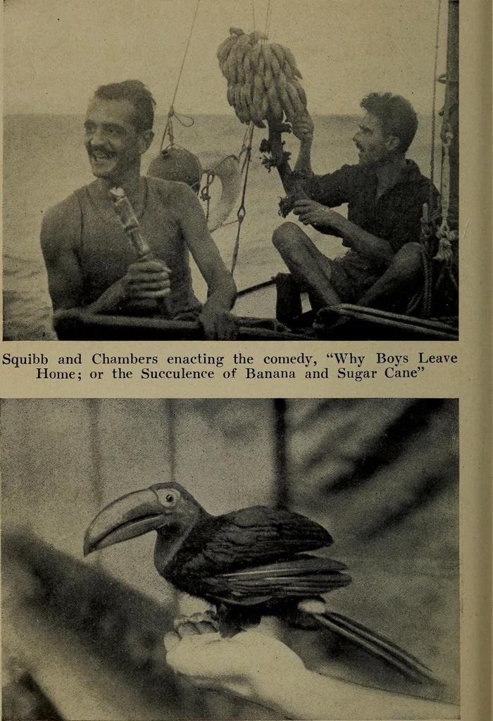 An illustration from The cruise of the Hippocampus, 1922, leaf 263