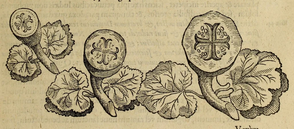 An illustration from Crux triumphans et gloriosa, libris sex : ad sacrae et profanae historiae lucem, et Christianae pietatis augmentum vtilissimis, 1617, leaf 185