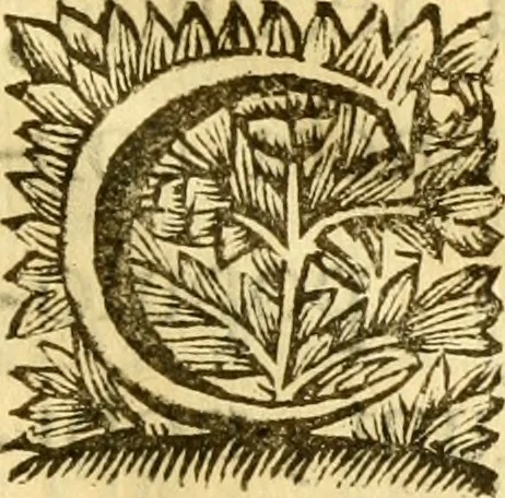 An illustration from C. Suetonius Tranquillus ex recensione Joannis Georgii Graevii ... : accedunt notae selectiores aliorum, 1708, leaf 10