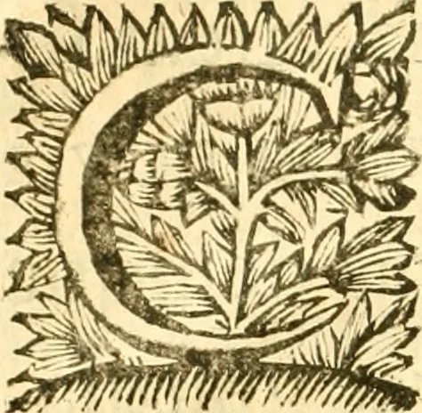 An illustration from C. Suetonius Tranquillus ex recensione Joannis Georgii Graevii ... : accedunt notae selectiores aliorum, 1708, leaf 17