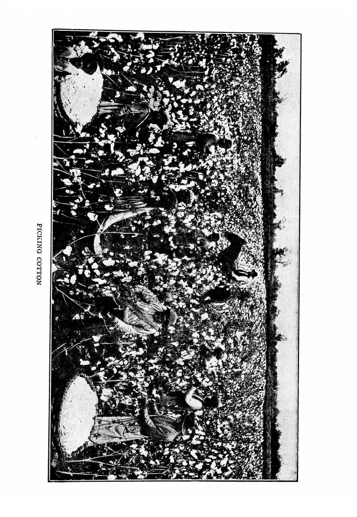 An illustration from Textiles for commercial, industrial, and domestic arts schools ; also adapted to those engaged in wholesale and retail dry goods, wool, cotton, and dressmaker's trades, 1914, leaf 130