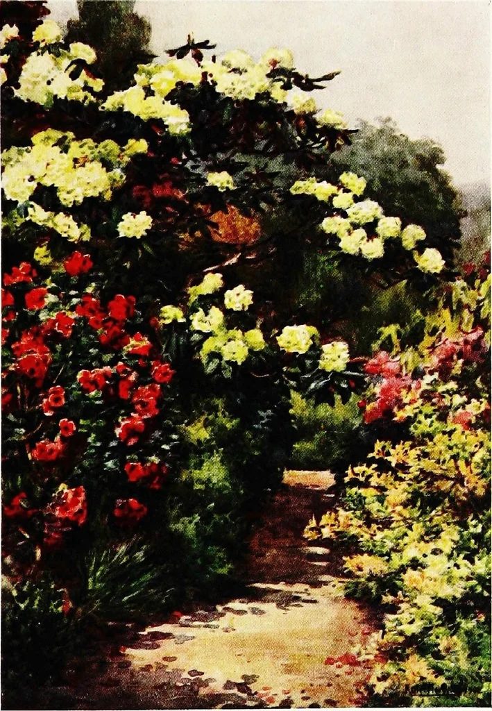 An illustration from A book of English gardens, written, 1906, leaf 66